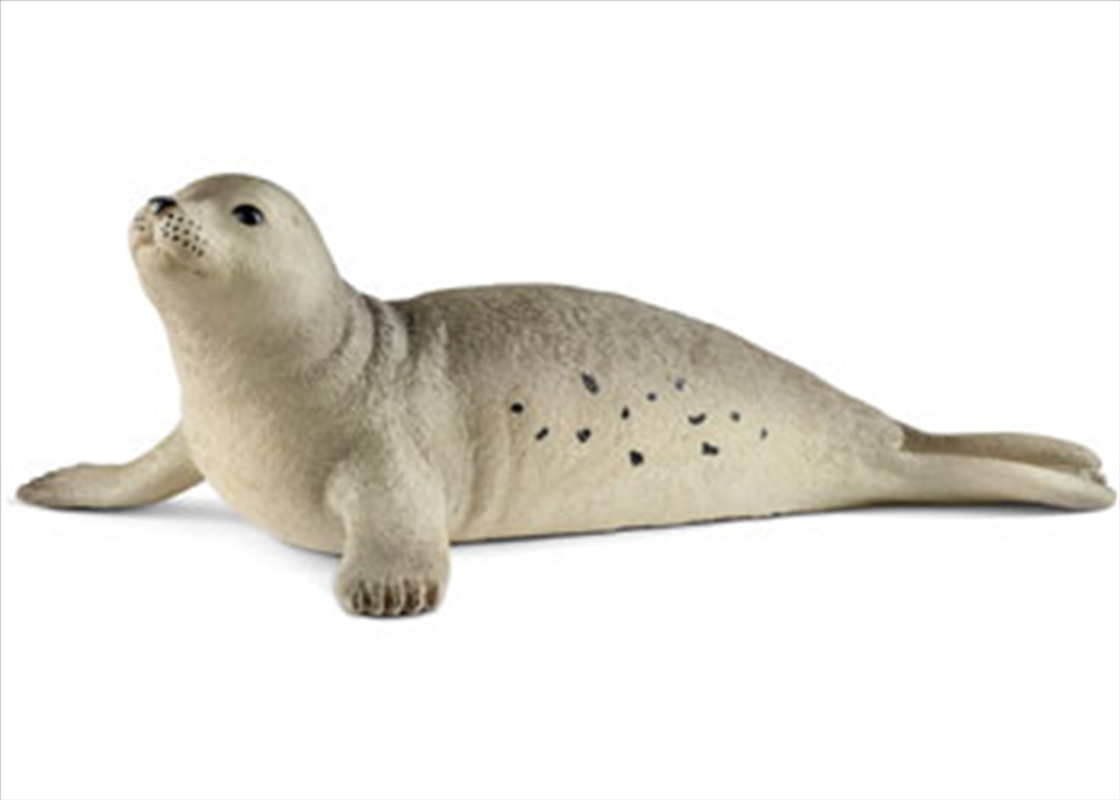 Schleich - Seal/Product Detail/Play Sets