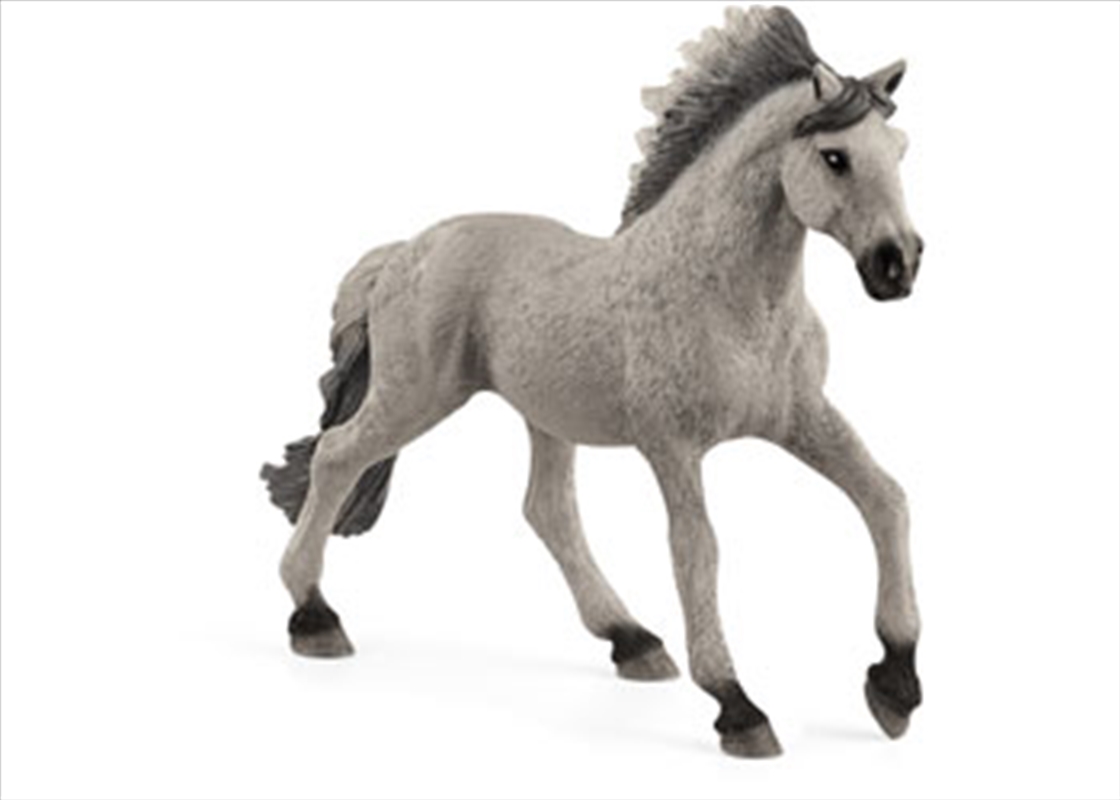 Schleich - Sorraia Mustang Stallion/Product Detail/Play Sets