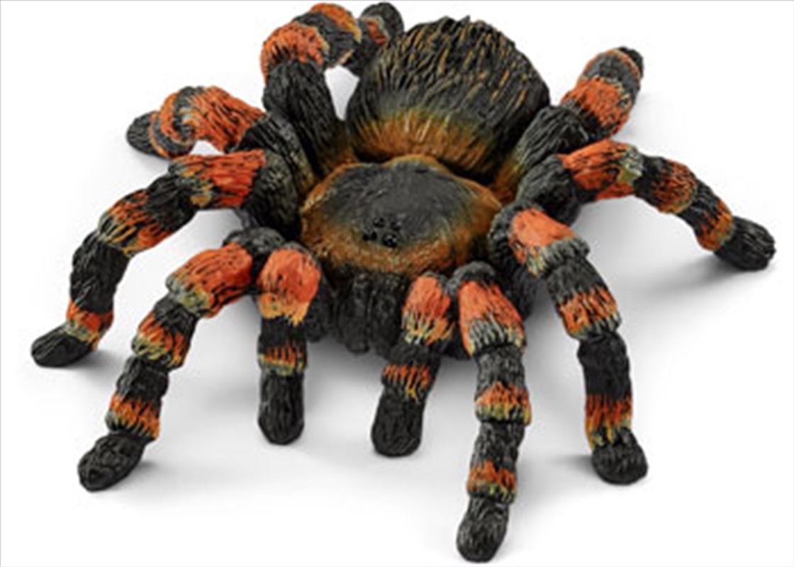 Schleich-Tarantula/Product Detail/Play Sets