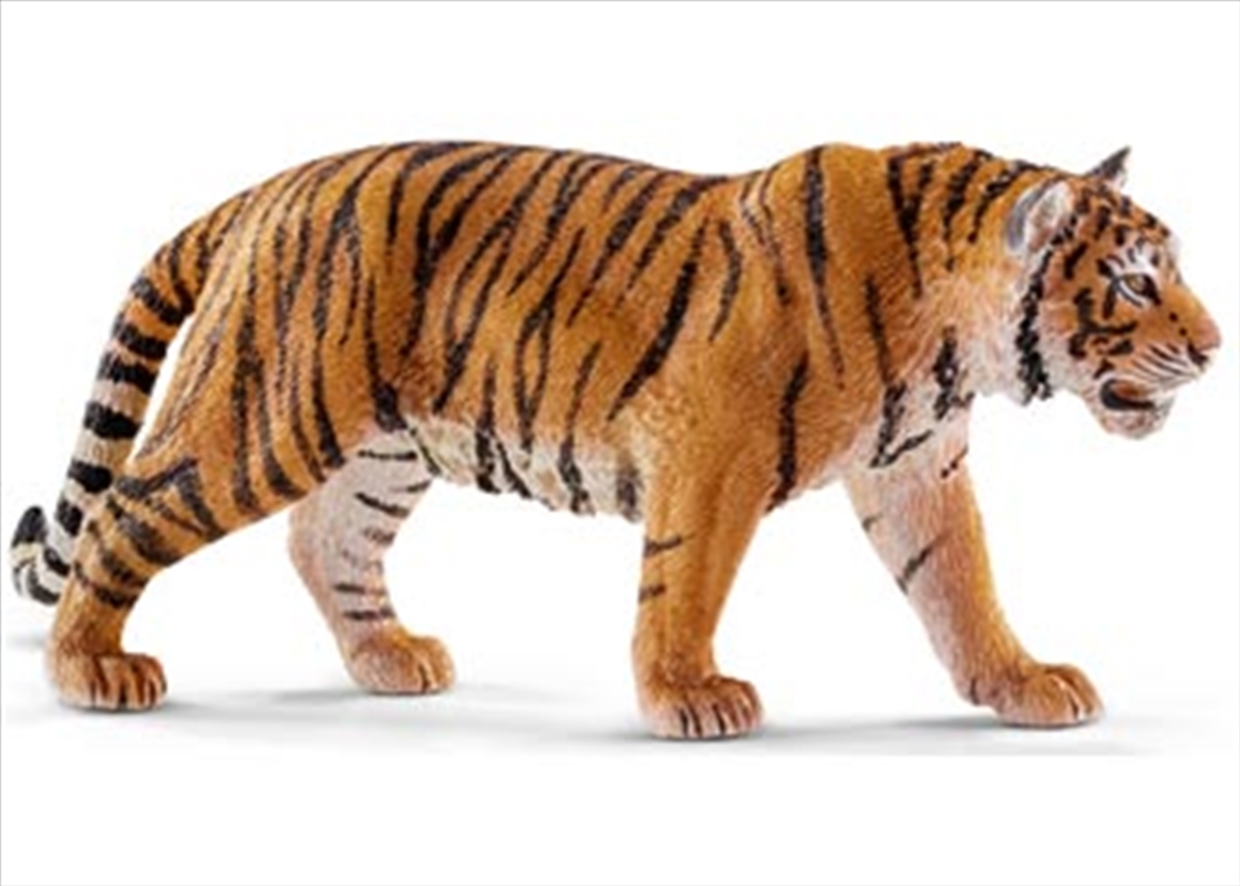 Schleich - Tiger/Product Detail/Play Sets