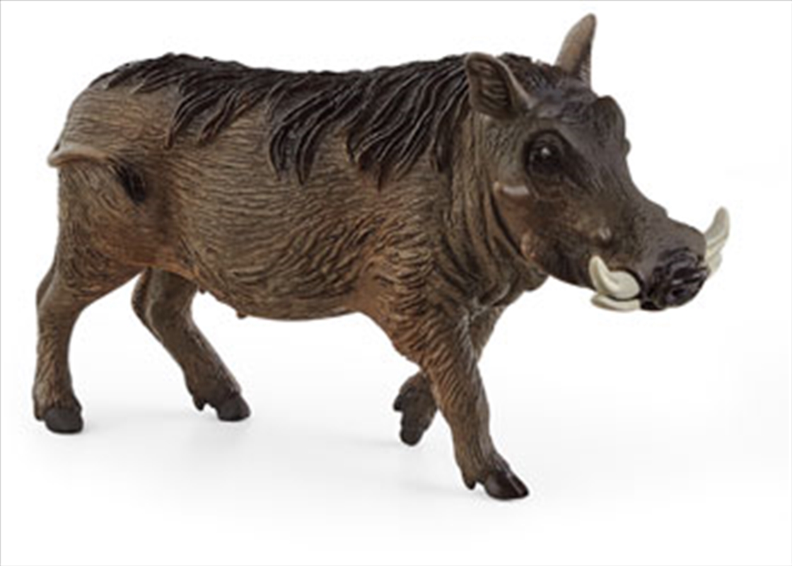 Schleich - Warthog/Product Detail/Play Sets