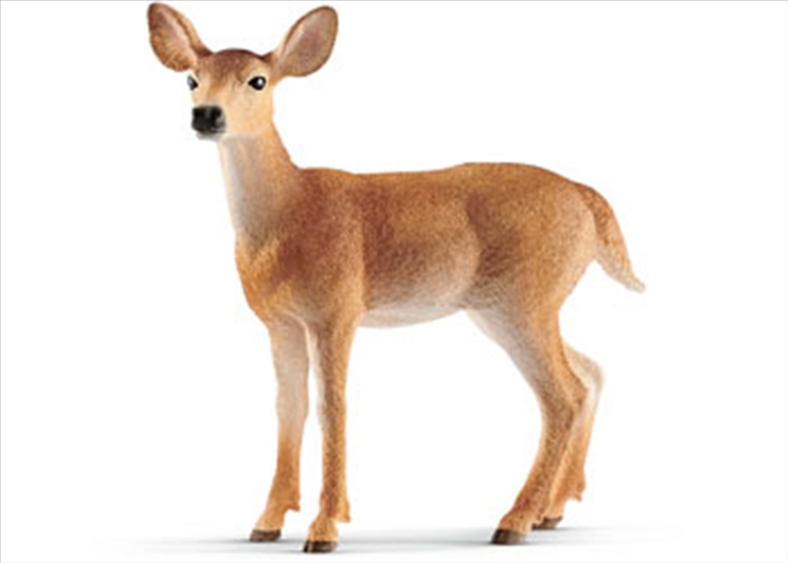 Schleich-White-tailed doe/Product Detail/Play Sets