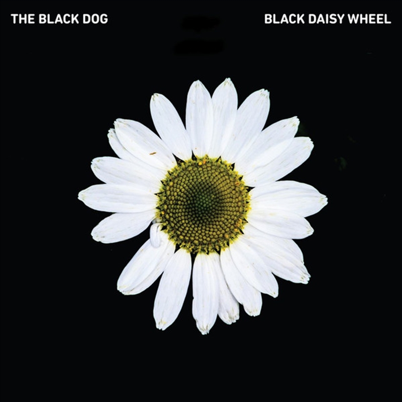 Black Daisy Wheel/Product Detail/Dance