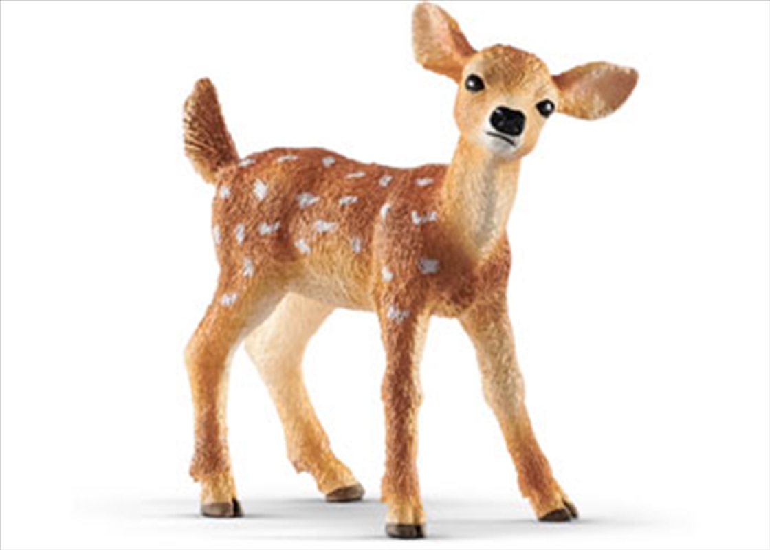 Schleich-White-tailed fawn/Product Detail/Play Sets