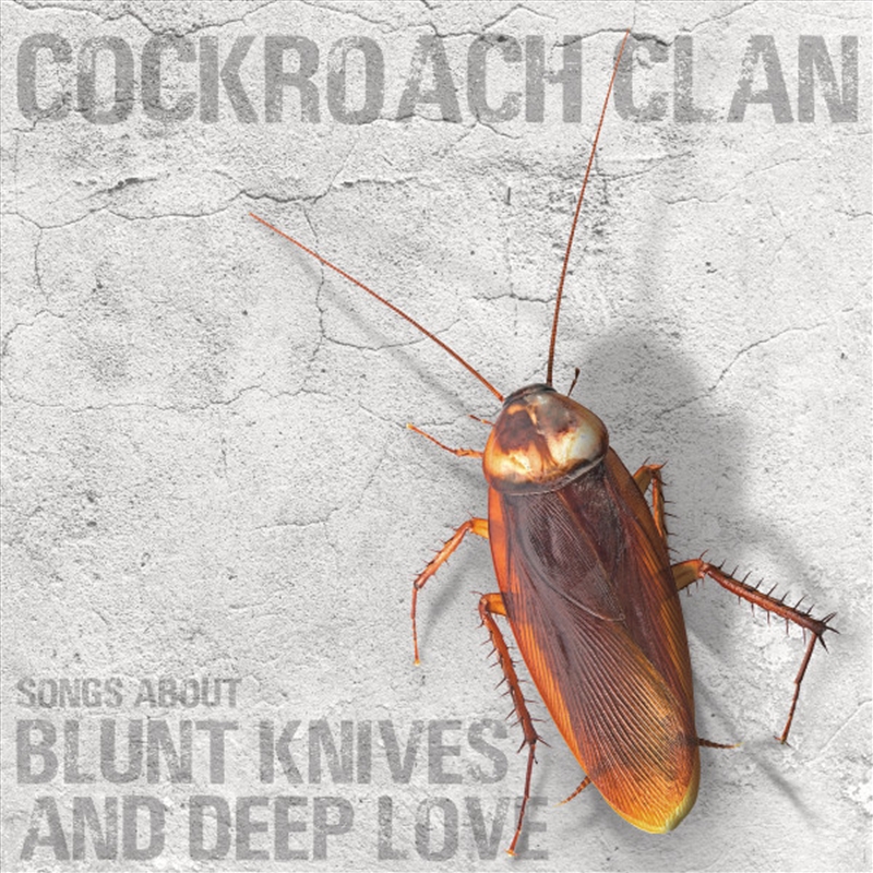 Songs About Blunt Knives & Deep Love/Product Detail/Rock