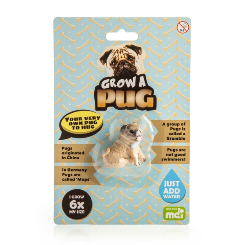 Grow A Pug/Product Detail/Grow Your Own