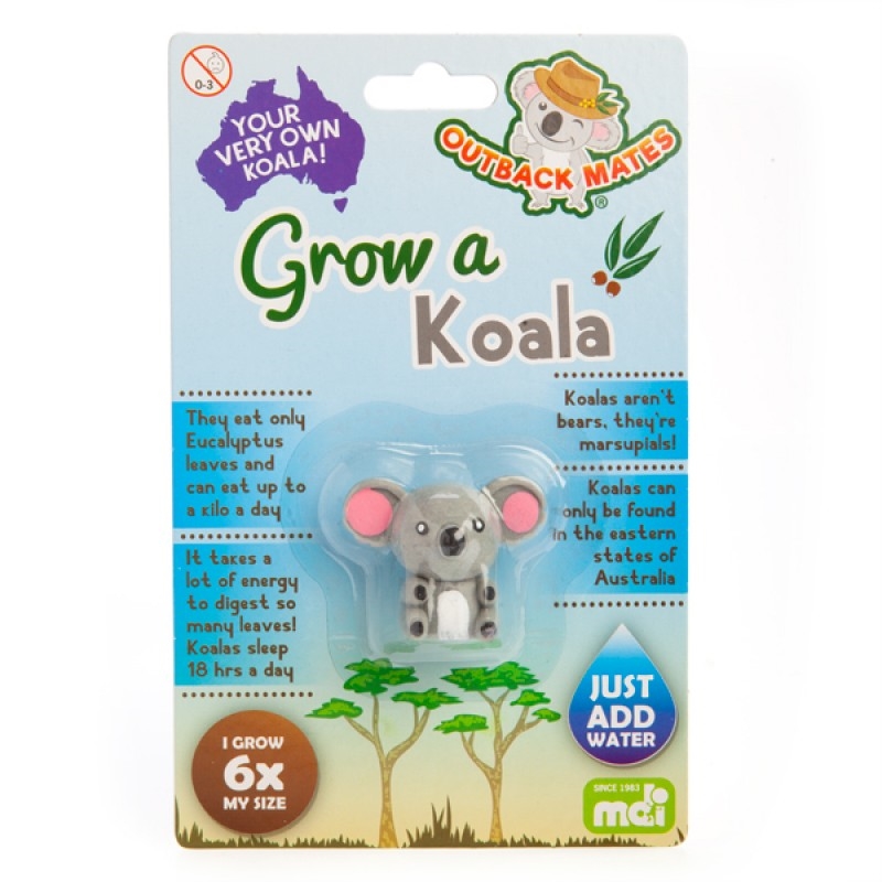 Grow A Koala/Product Detail/Grow Your Own