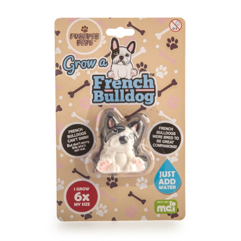 Grow French Bulldog/Product Detail/Grow Your Own