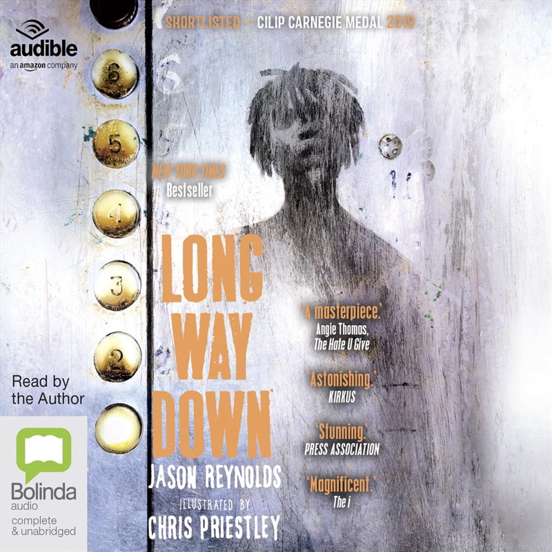 Long Way Down/Product Detail/Childrens Fiction Books