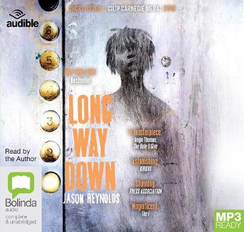 Long Way Down/Product Detail/Childrens Fiction Books