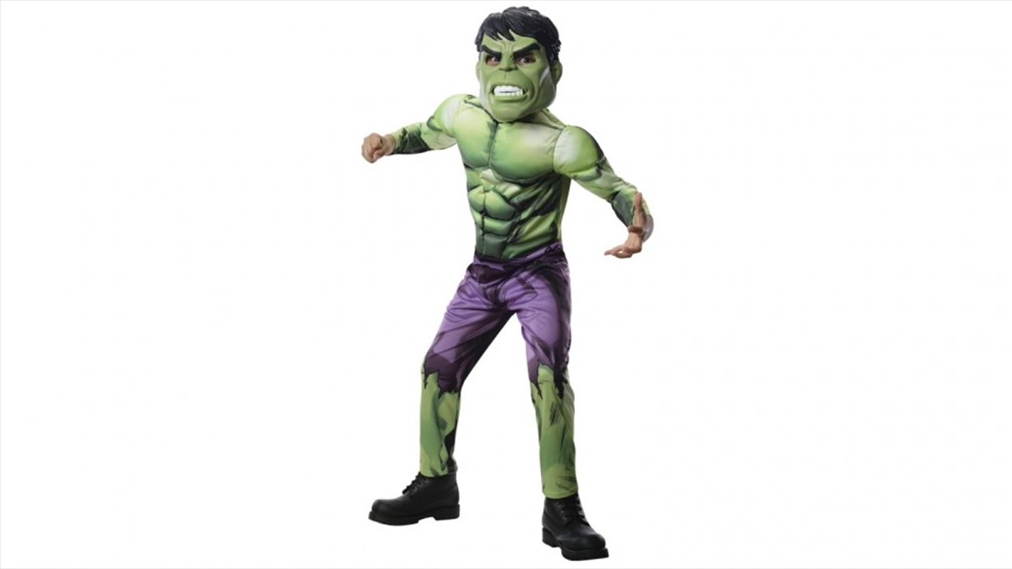 Hulk Deluxe: Size 3-5 Yrs/Product Detail/Costumes