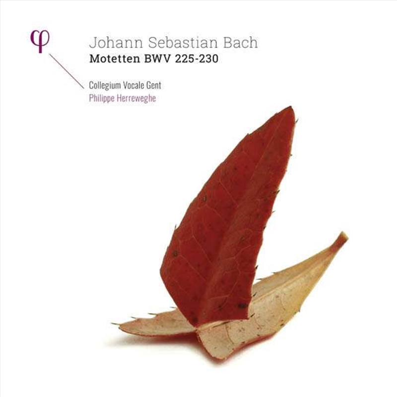 Johann Sebastian Bach: Motetten Bwv 225-230/Product Detail/Classical