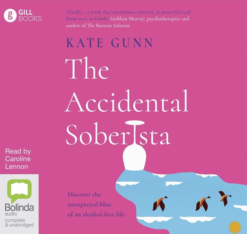 The Accidental Soberista/Product Detail/Family & Health