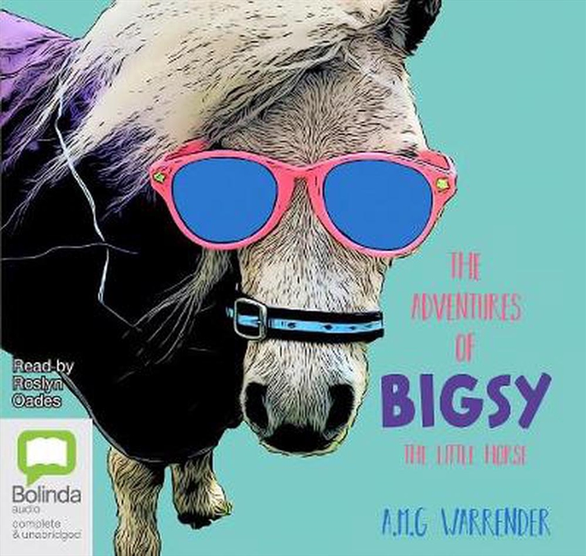 The Adventures of Bigsy - The Little Horse/Product Detail/Childrens Fiction Books