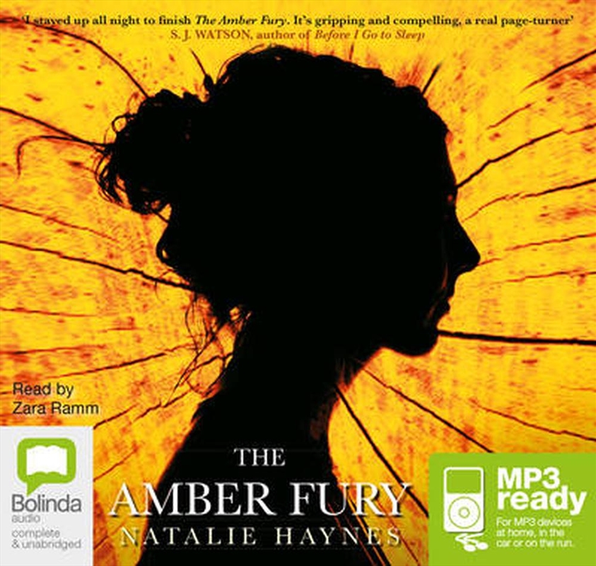 The Amber Fury/Product Detail/General Fiction Books