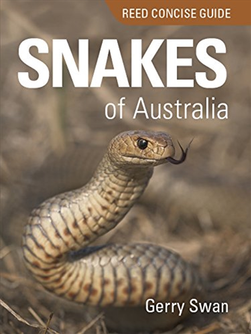 Reed Concise Guide Snakes Of Australia/Product Detail/Reading