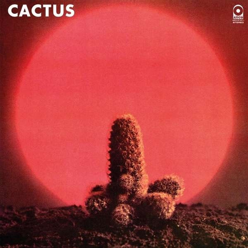 Cactus/Product Detail/Hard Rock