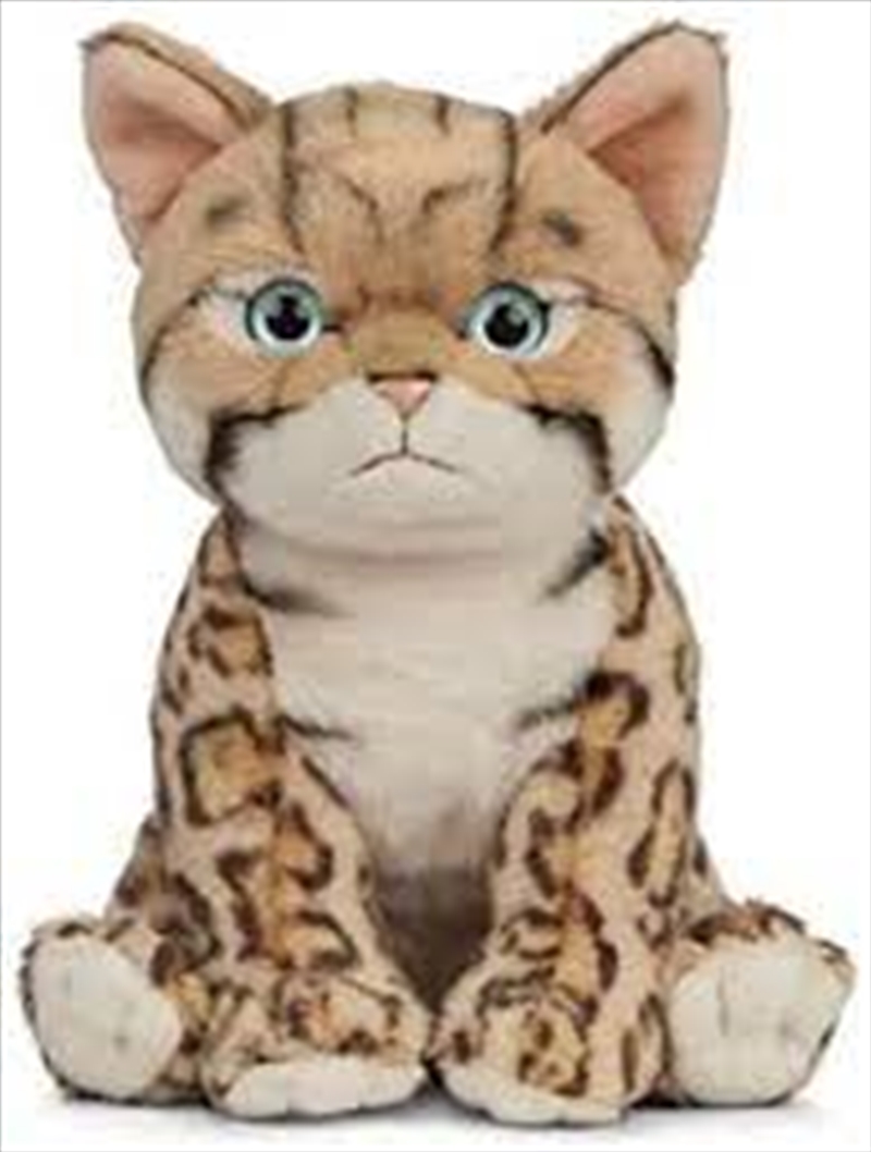 Bengal Kitten 16cm/Product Detail/Plush Toys