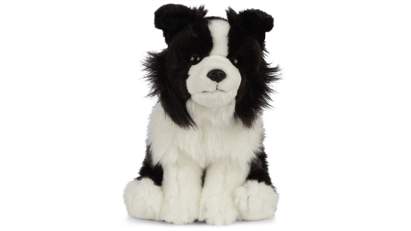 Border Collie 20cm/Product Detail/Plush Toys