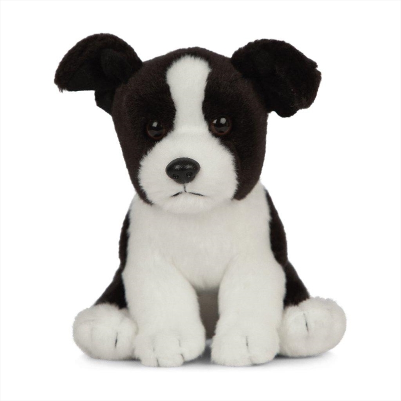 Border Collie Puppy 16cm/Product Detail/Plush Toys