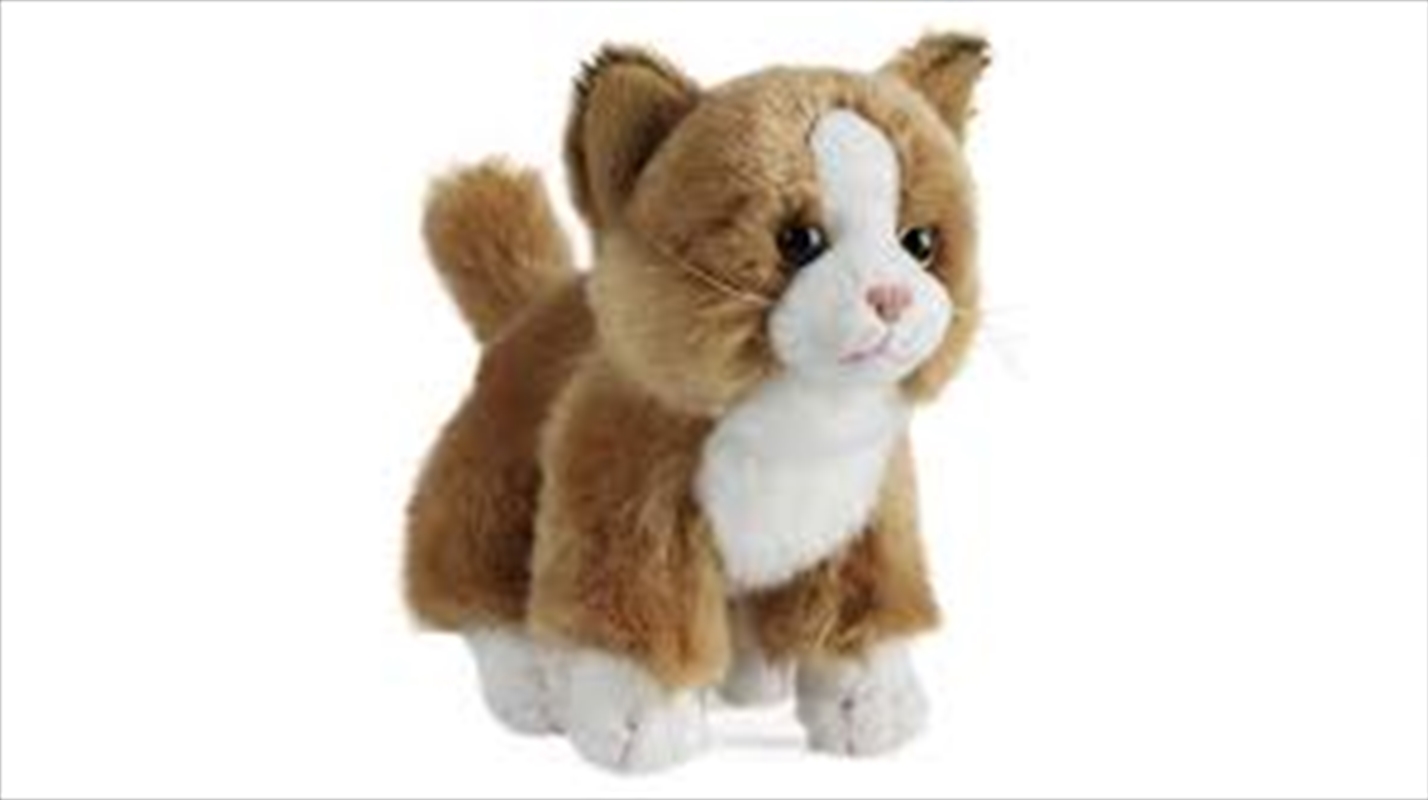 Cat Small 16cm/Product Detail/Plush Toys