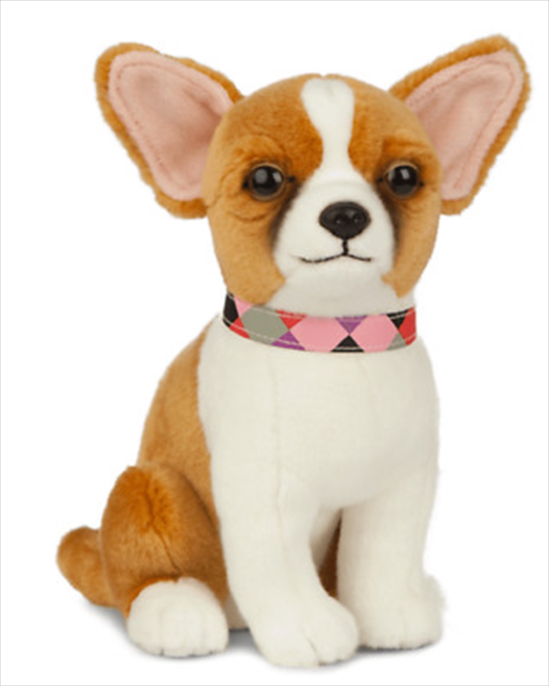 Chihuahua 20cm/Product Detail/Plush Toys