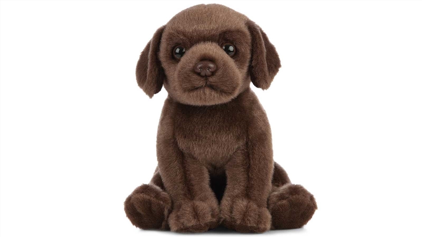 Chocolate Labrador Puppy 16cm/Product Detail/Plush Toys