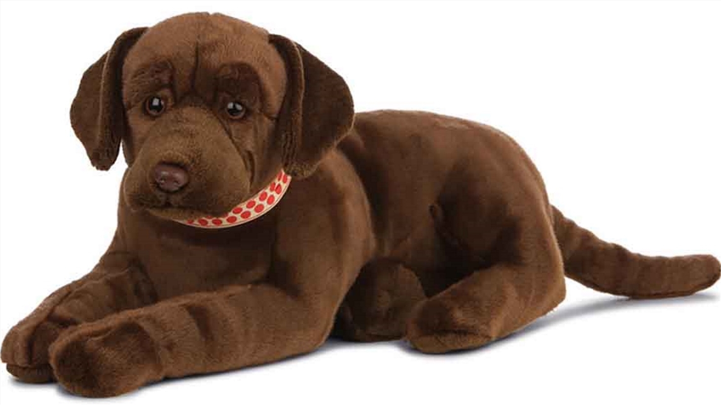 Chocolate Labrador Puppy 60cm/Product Detail/Plush Toys