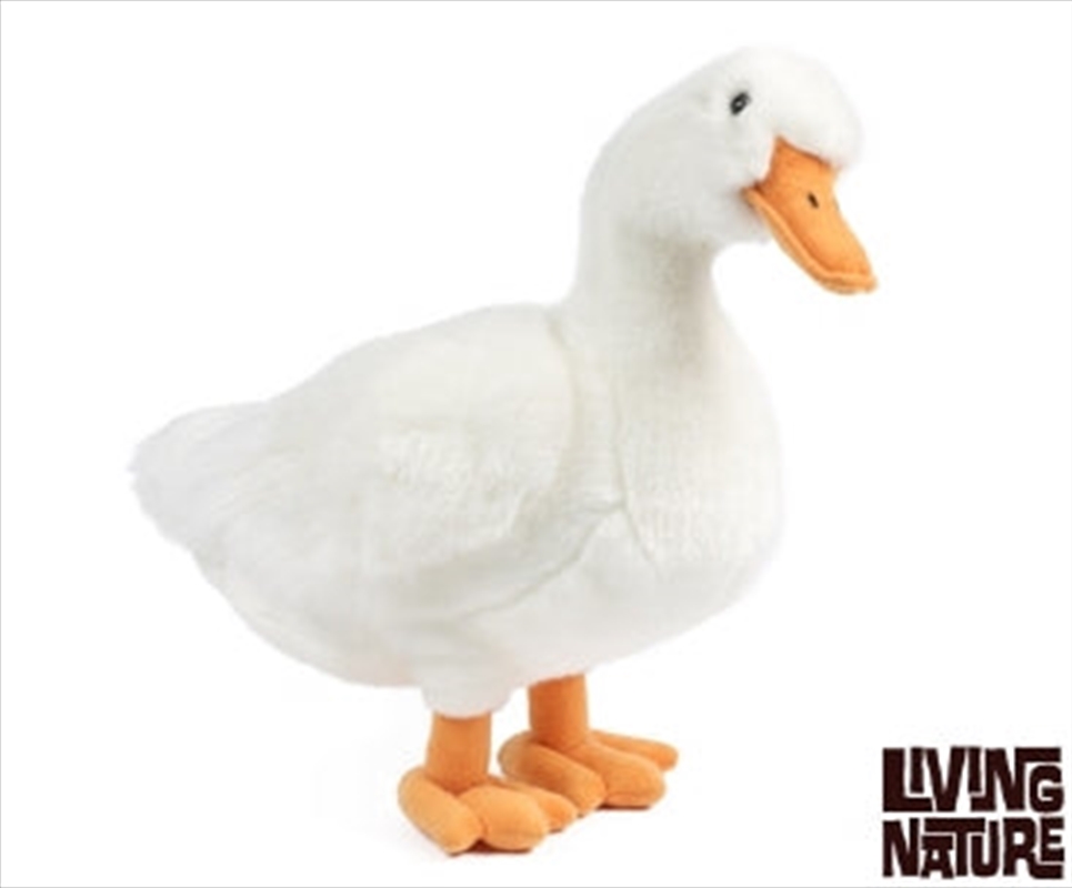 Duck Large 35cm/Product Detail/Plush Toys