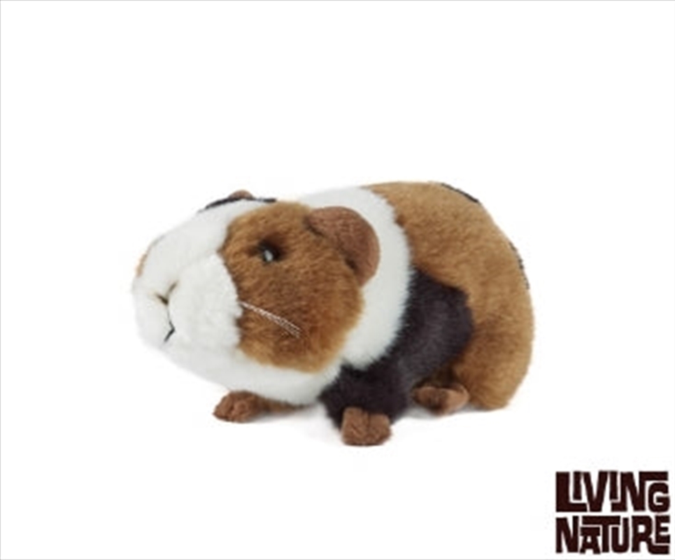 Guinea Pig Small 18cm/Product Detail/Plush Toys