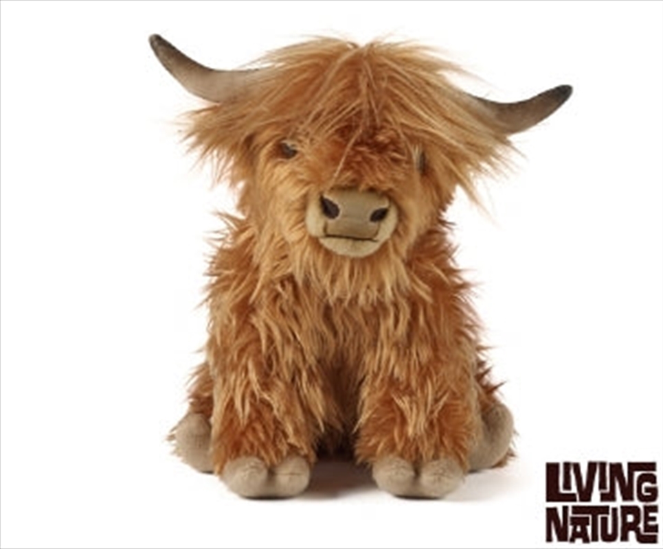 Highland Cow Large Sound 30cm/Product Detail/Plush Toys