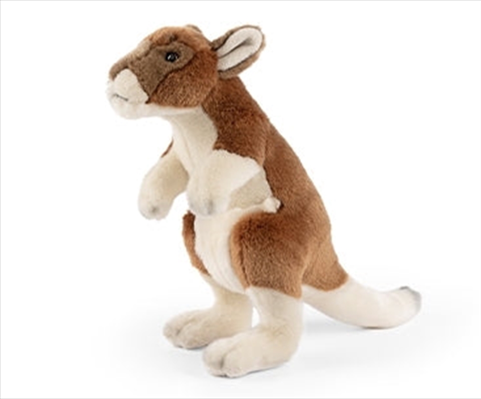 Kangaroo/Product Detail/Plush Toys