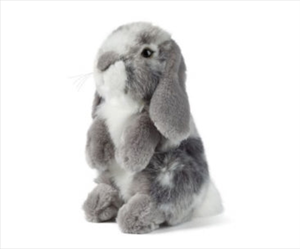 Lop Eared Rabbit Grey 19cm/Product Detail/Plush Toys