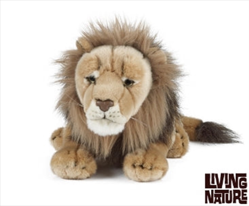 Male Lion Large 45cm/Product Detail/Plush Toys