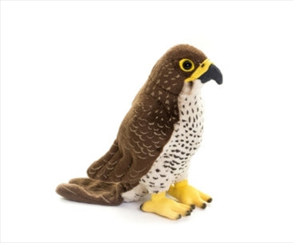 Naturli Peregrine Falcon 20cm/Product Detail/Plush Toys