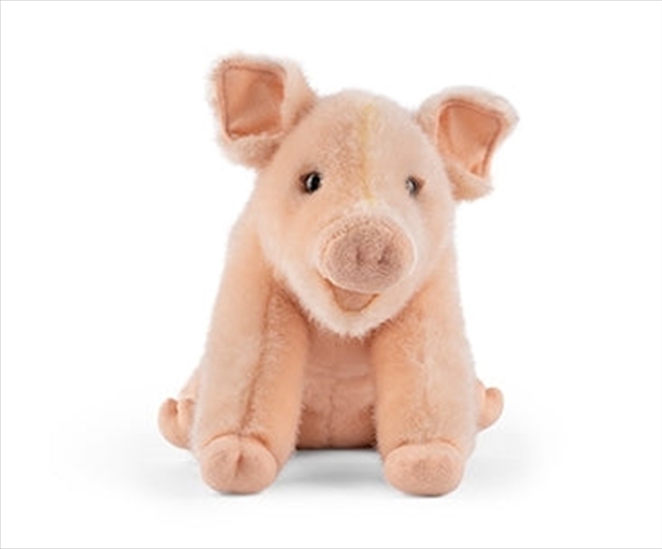 Piglet With Sound/Product Detail/Plush Toys