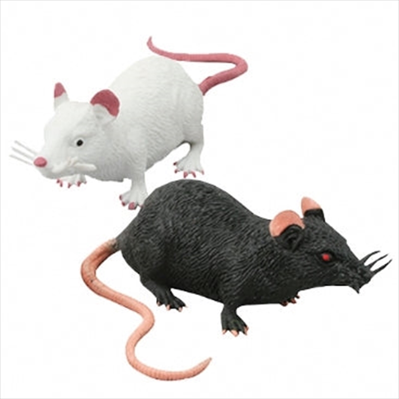 Rat 18cm/Product Detail/Stress & Squishy