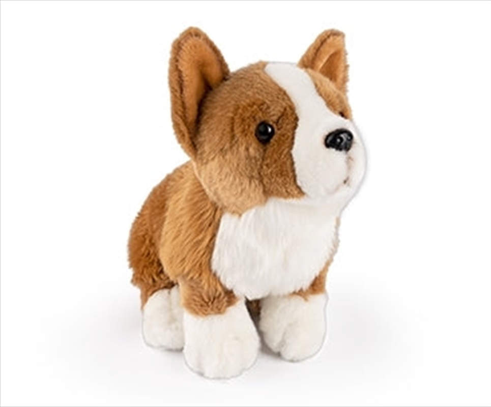 Sitting Corgi/Product Detail/Plush Toys