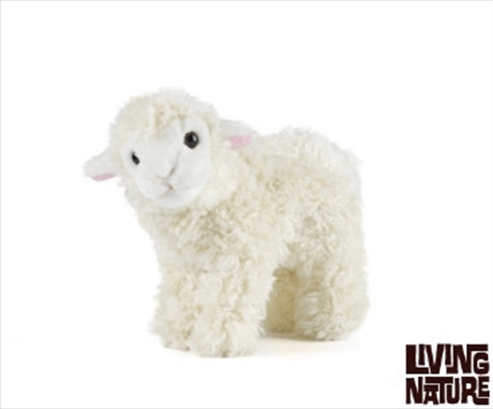 Small Standing Lamb 20cm/Product Detail/Plush Toys