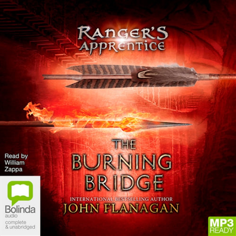 The Burning Bridge/Product Detail/Childrens Fiction Books