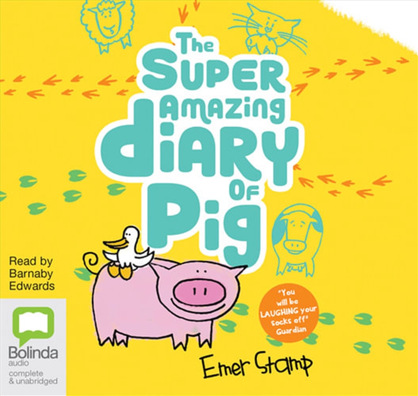 The Super Amazing Diary of Pig/Product Detail/Childrens Fiction Books