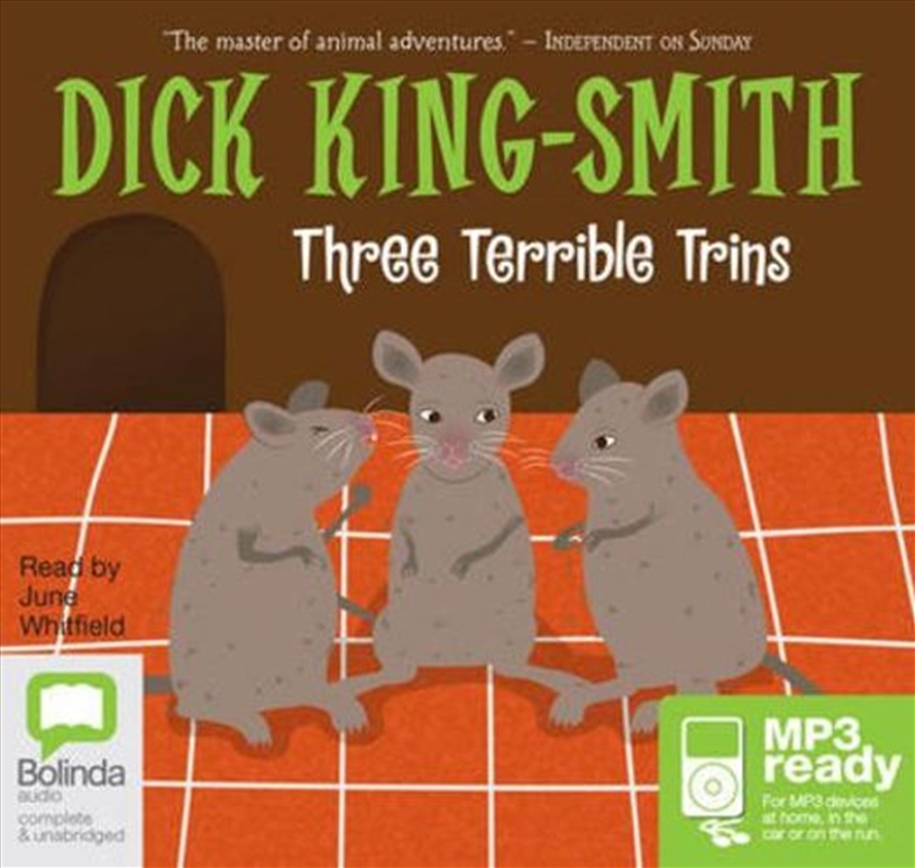 Three Terrible Trins/Product Detail/Childrens Fiction Books