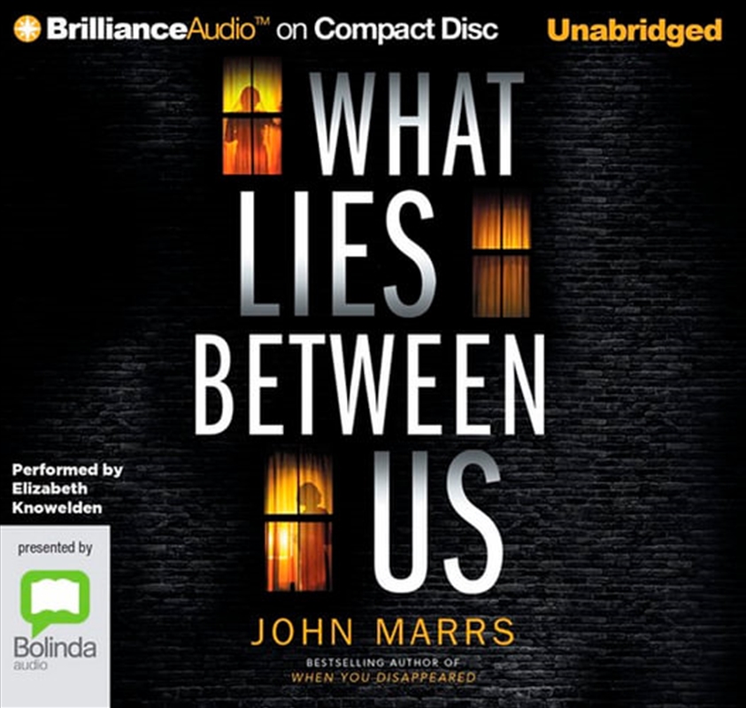 What Lies Between Us/Product Detail/Thrillers & Horror Books