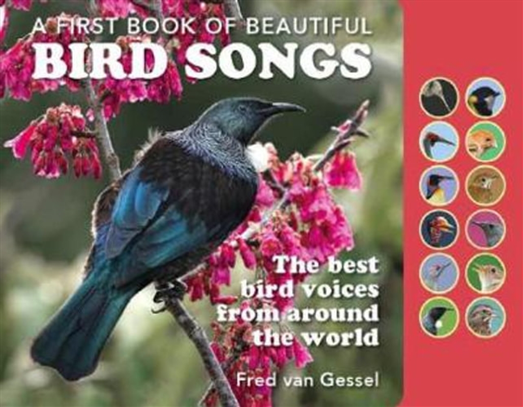 First Book Of Beautiful Bird Songs - Sound Book/Product Detail/Children