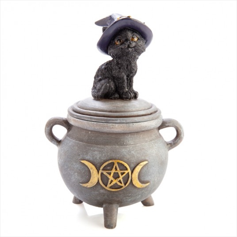 Black Cat Cauldron Trinket Box/Product Detail/Decor