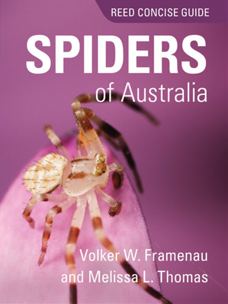 Spiders of Australia : Reed Concise Guide/Product Detail/Animals & Nature