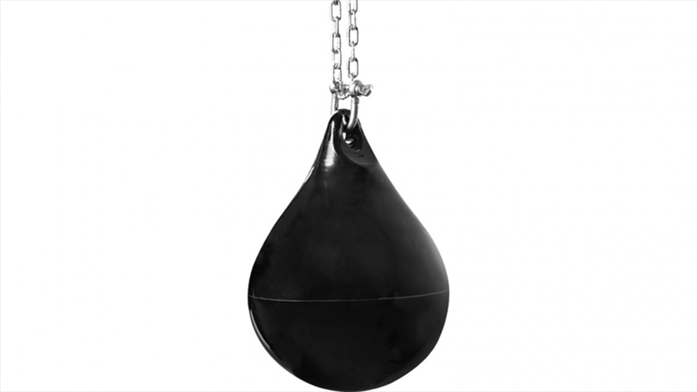 30L Water Punching Bag Aqua with D-Shackle and Chain/Product Detail/Gym Accessories