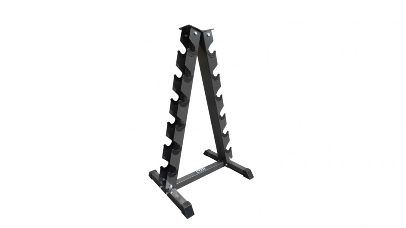 Steel Vertical Dumbbell Rack Weight Stand/Product Detail/Gym Accessories