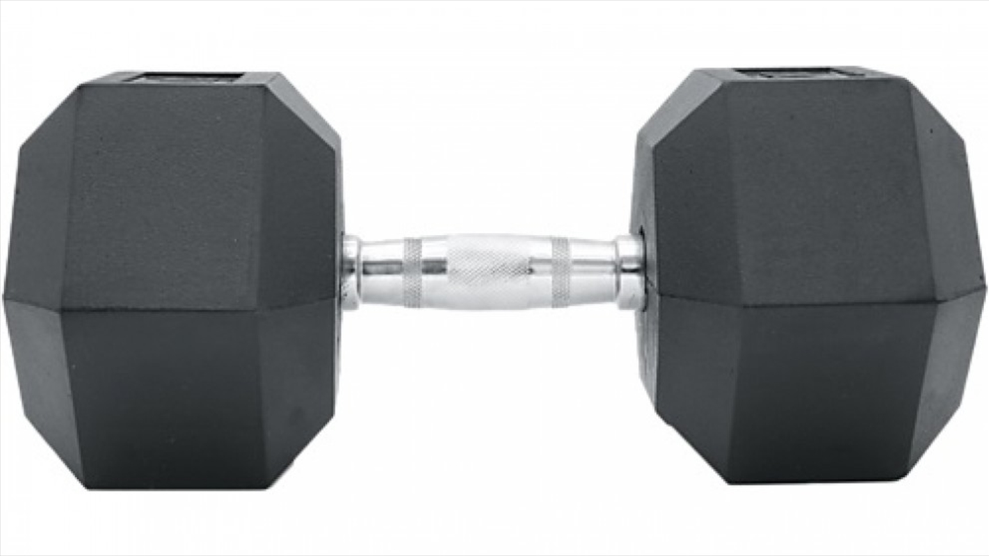 20KG Commercial Rubber Hex Dumbbell Gym Weight/Product Detail/Gym Accessories