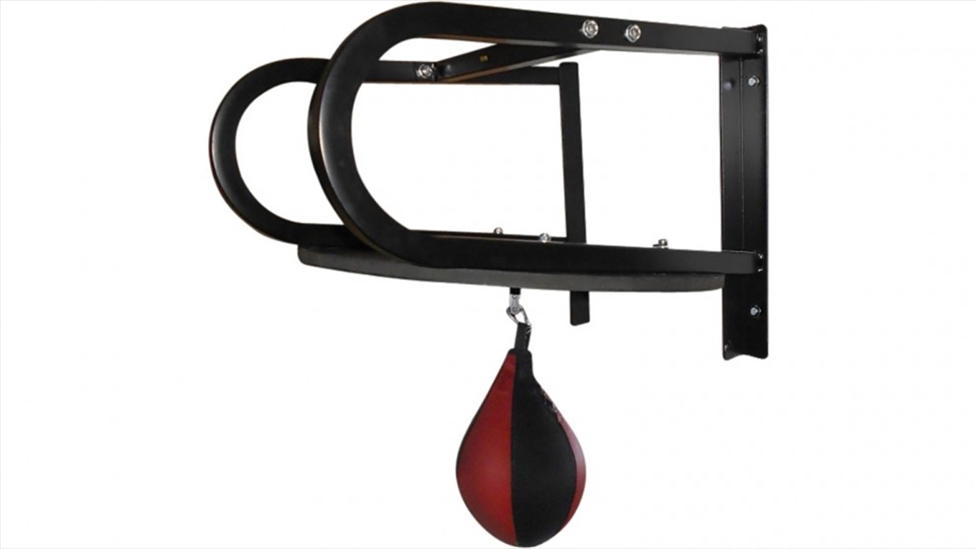 Speedball with Wall Frame Boxing Punching Bag/Product Detail/Gym Accessories